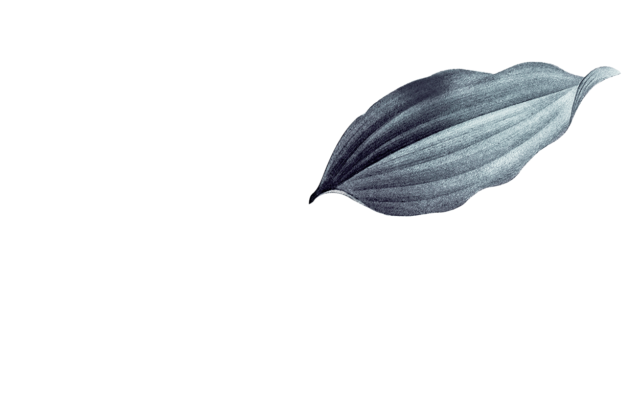 Layer